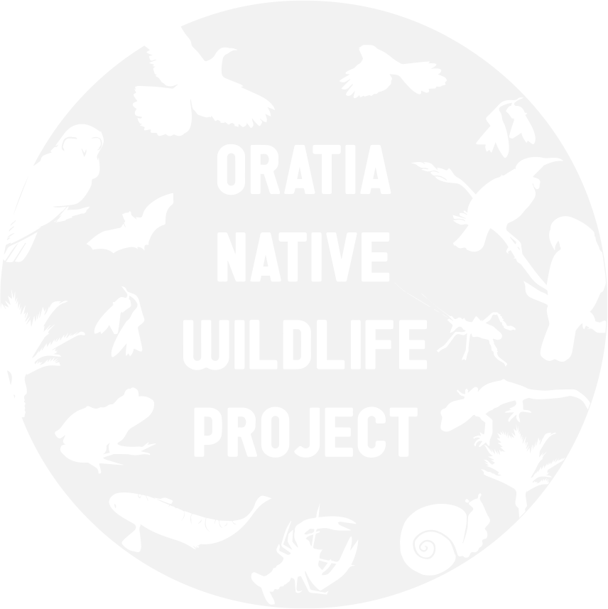 Oratia Wildlife Project